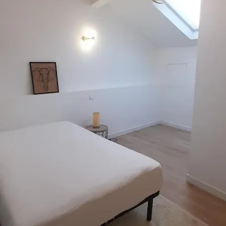 3 Pieces Port De Cannes